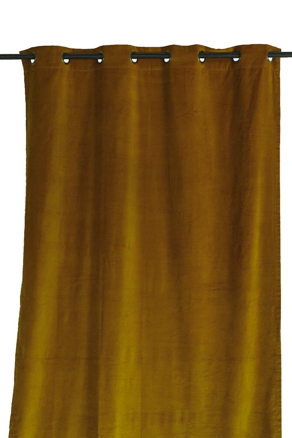 rideau en velours delhi 135x300 cm gold-harmony haomy
