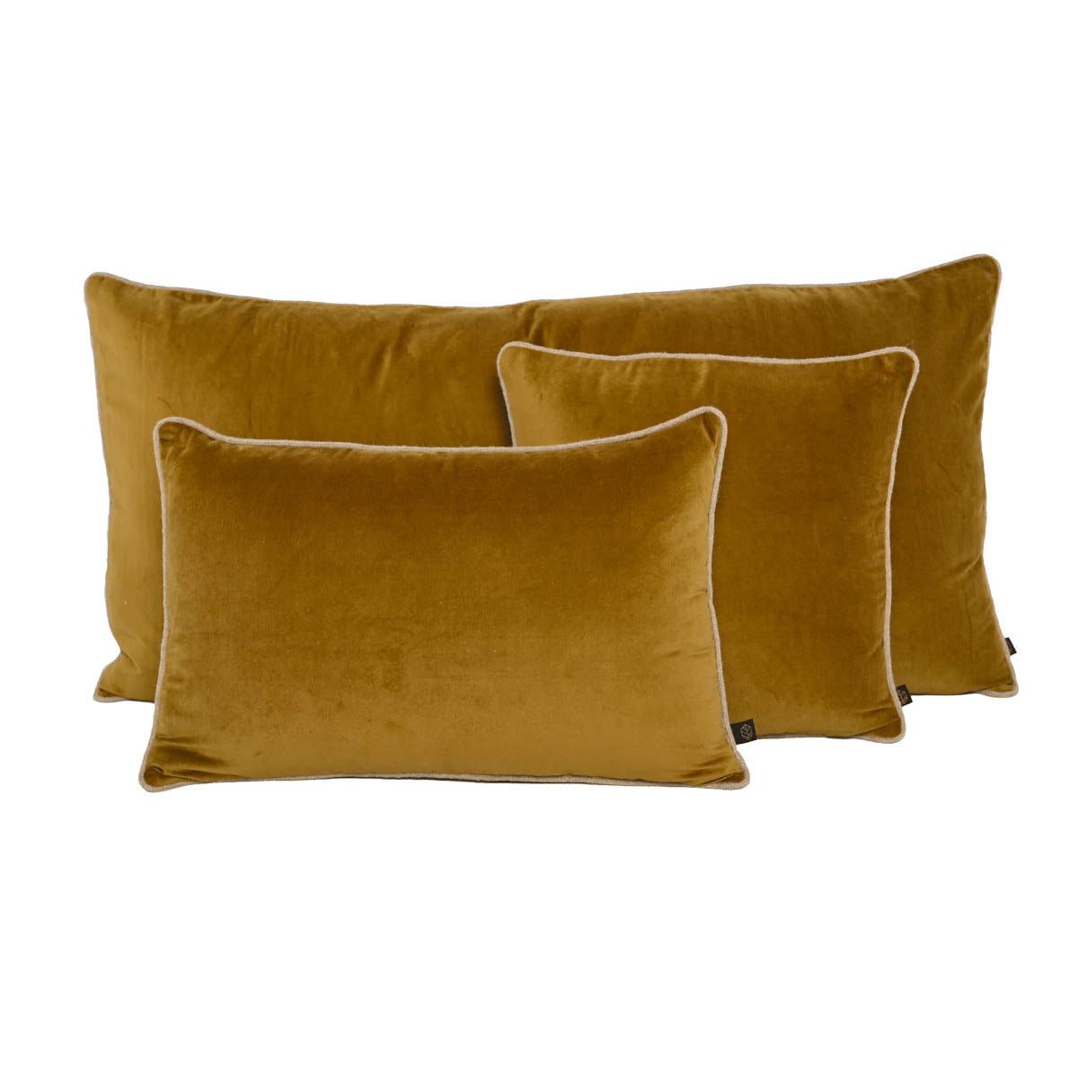 Coussin New Delhi Haomy en velours de coton coloris Gold – finition bourdon en lin naturel, style chic et intemporel