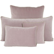 Coussin New Delhi Haomy en velours de coton coloris Pétale – finition bourdon en lin naturel, style chic et intemporel